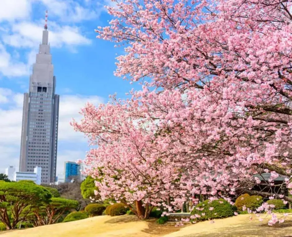 62新宿商圈 新宿御苑1分-Shinjuku Area Japanese Style Max 5P Tokyo 0*,